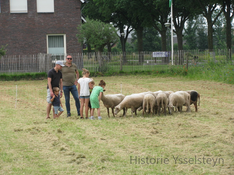 De gelegenheids schaapskudde voor de demonstratie met enkele bezoekers.